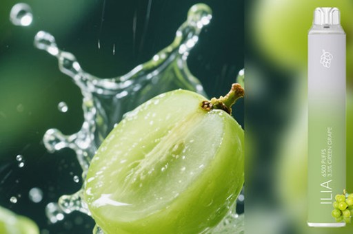 老煙槍一次性推薦的簡單介紹