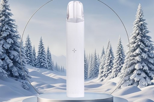 臺灣電子煙法規懶人包：攜帶VAPORSTORM會罰款嗎？