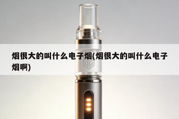 煙很大的叫什麼電子煙(煙很大的叫什麼電子煙啊)