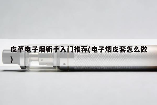 皮革電子煙新手入門推薦(電子煙皮套怎麼做)
