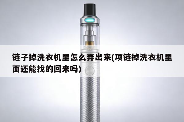 鏈子掉洗衣機裏怎麼弄出來(項鏈掉洗衣機裏面還能找的回來嗎)