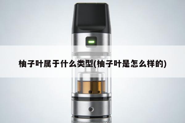 柚子葉屬於什麼類型(柚子葉是怎麼樣的)