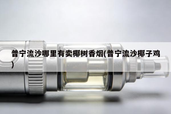普宁流沙哪裏有賣椰樹香煙(普宁流沙椰子雞)