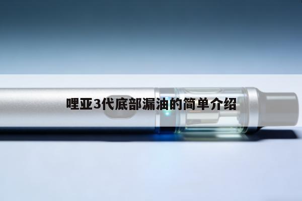 哩亞3代底部漏油的簡單介紹