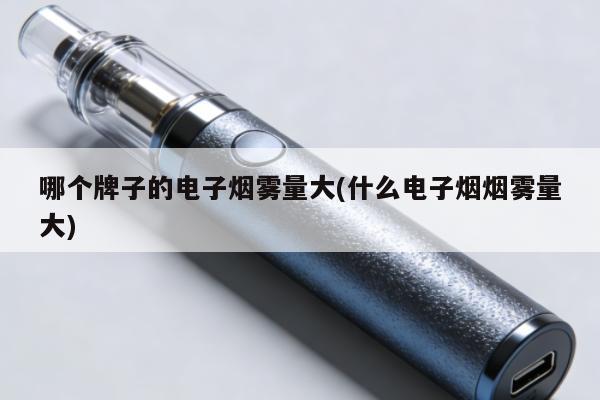 哪個牌子的電子煙霧量大(什麼電子煙煙霧量大)
