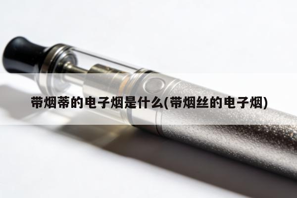 帶煙蒂的電子煙是什麼(帶煙絲的電子煙)