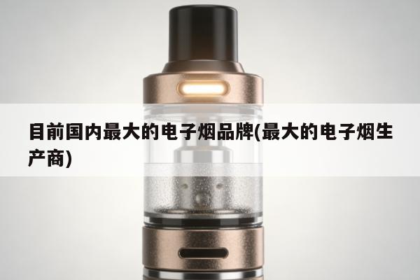 目前國內最大的電子煙品牌(最大的電子煙生產商)