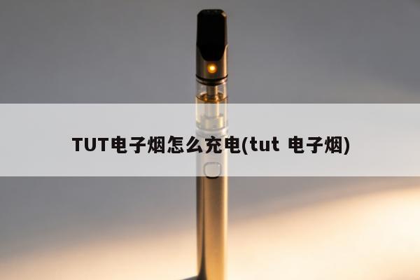 TUT電子煙怎麼充電(tut 電子煙)