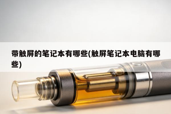 帶觸屏的筆記本有哪些(觸屏筆記本電腦有哪些)