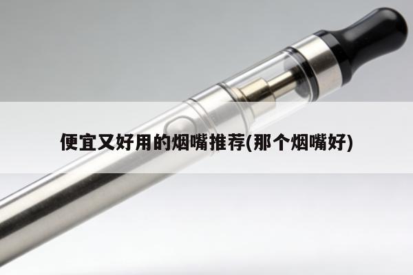 便宜又好用的煙嘴推薦(那個煙嘴好)
